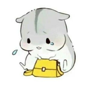 Meet your Posher, Siyang